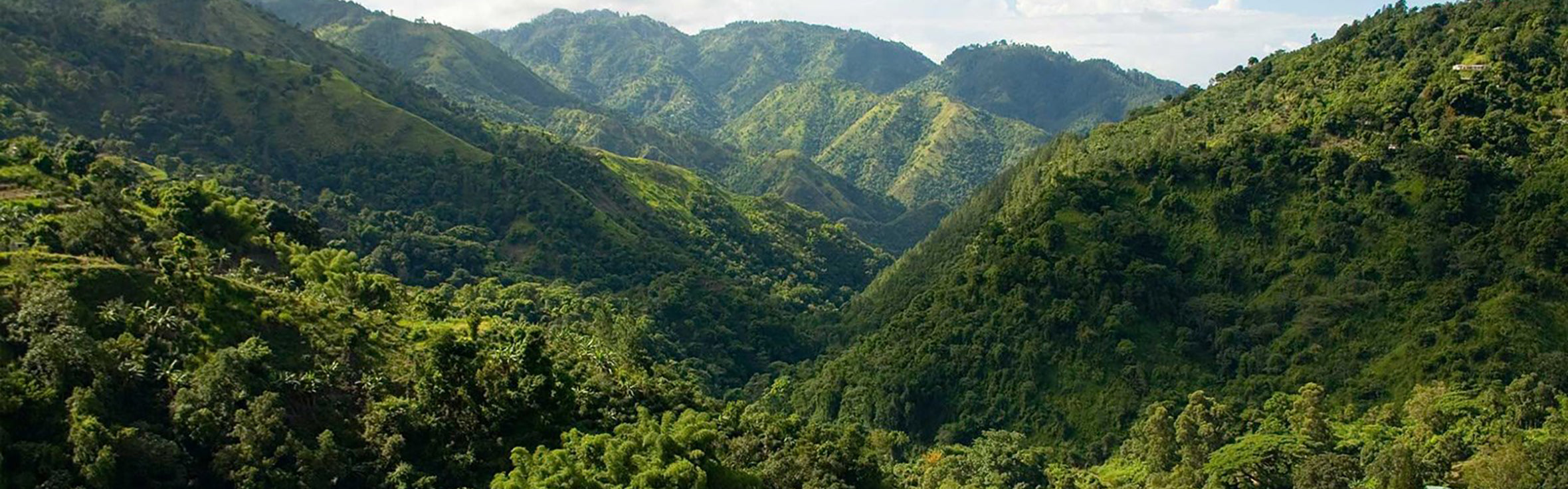 Apostle Blue Mountain Complex